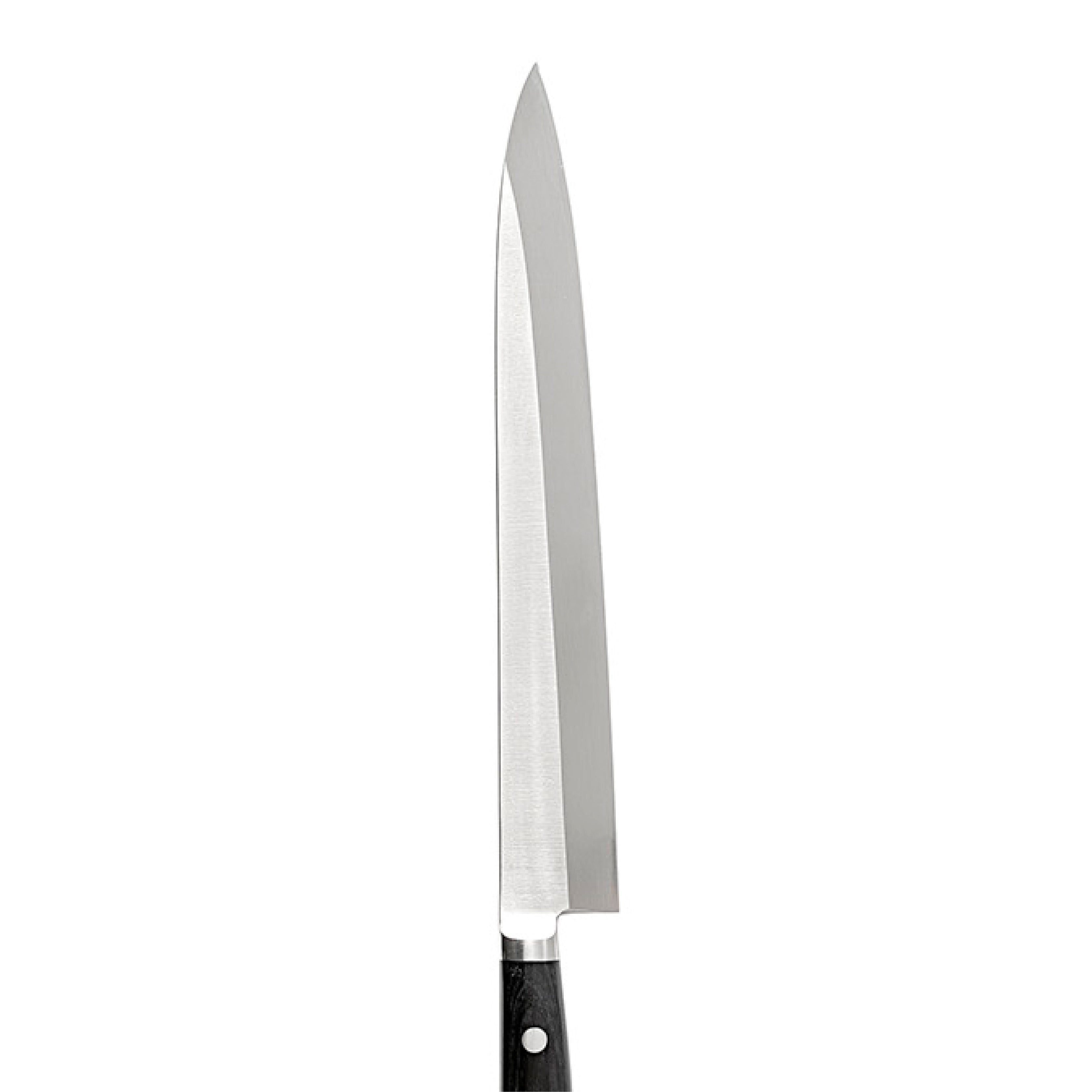 D V1 YANAGIBA